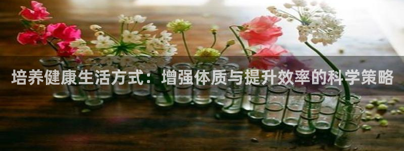 678体育app