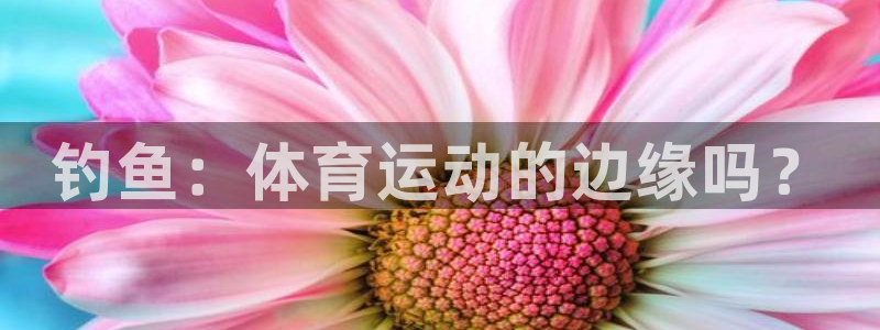 678体育app