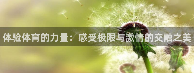 皇冠678体育