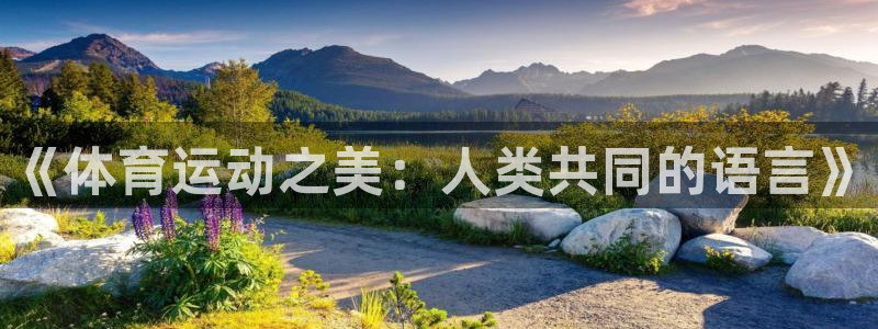 皇冠678体育