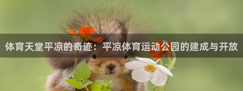 皇冠678体育