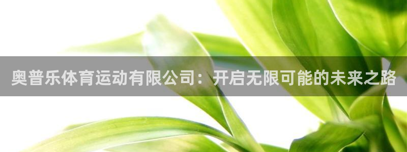 678体育官网地址