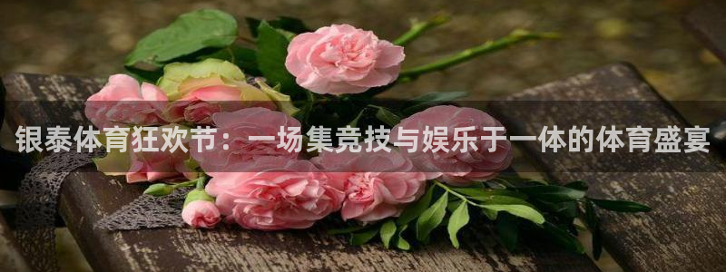 678体育