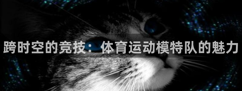 678体育官网下载