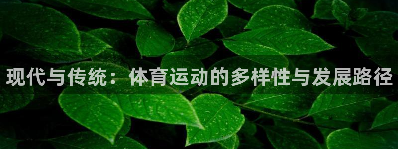 678体育app