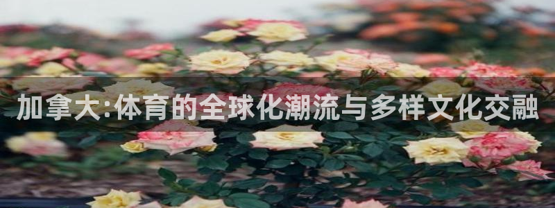 678体育官网下载