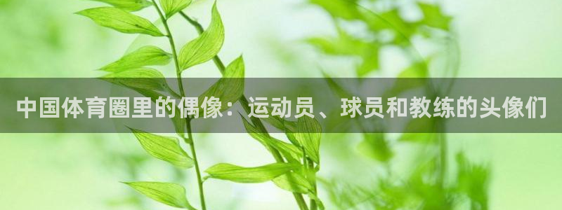 678体育官网地址