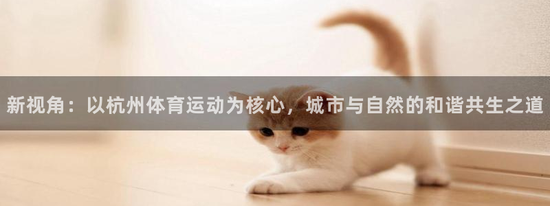 678体育app