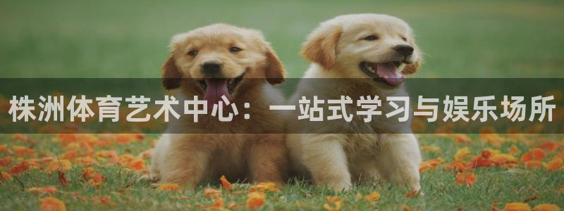 678体育知识